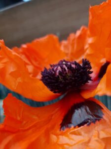 12783f58-91ce-4aa9-8f93-f069681508b3