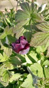 262ac71b-9cf8-4845-b658-18ffcc38c00a