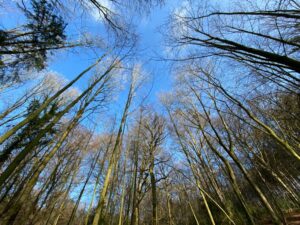 39c8717d-0500-4b5e-8b1e-e177891208f9