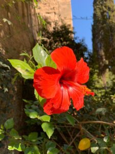 465a1fd6-c0ee-4f2a-914a-1618a3115bec