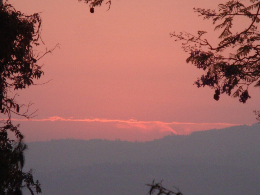 DSC09147