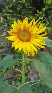 a1d6322b-4167-48d6-922e-88739a9851d5