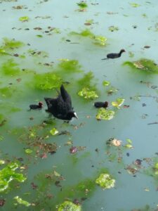 af2a4ecb-6df7-44ab-b1d3-67c348293942