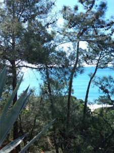 c0086071-b152-4914-b15d-d1e834d28043