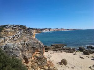 c1dc2cde-9cef-4e99-9c25-fc6e8b9bd1e6