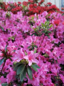 cf996b3d-4978-4103-9492-567b222d1c84