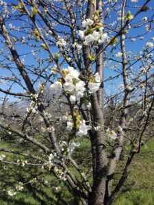 d9197db8-774f-4056-8fa8-75deff87b395