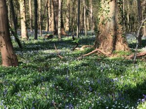 dfb14bb4-b82d-4bfc-80f4-1b0fa02e6495